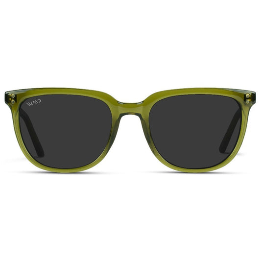 Lunettes de soleil polarisées unisexes ABNER vert saguaro par WMP Eyewear