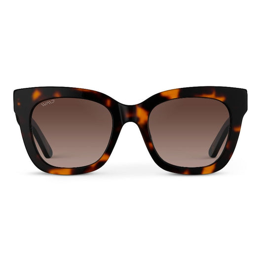 STORMI Tortoise / Brown Lens by WMP Eyewear