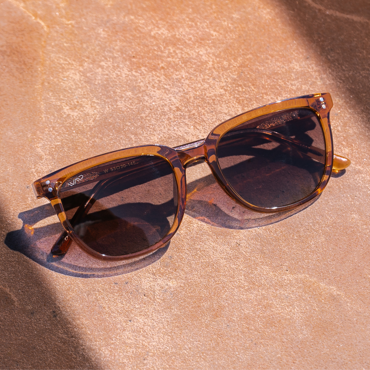 ABNER Unisex Polarized Sunglasses in Crystal Brown by WMP Eyewear