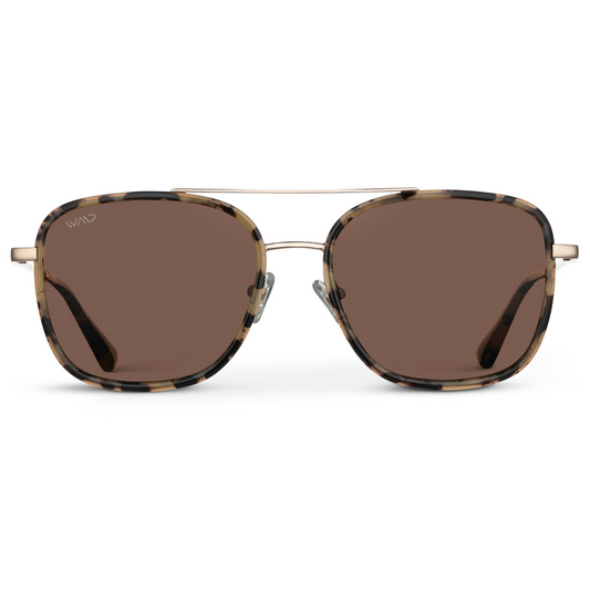 Lunettes de soleil aviateur carrées surdimensionnées GIA pour femme, couleur écaille beige, par WMP Eyewear