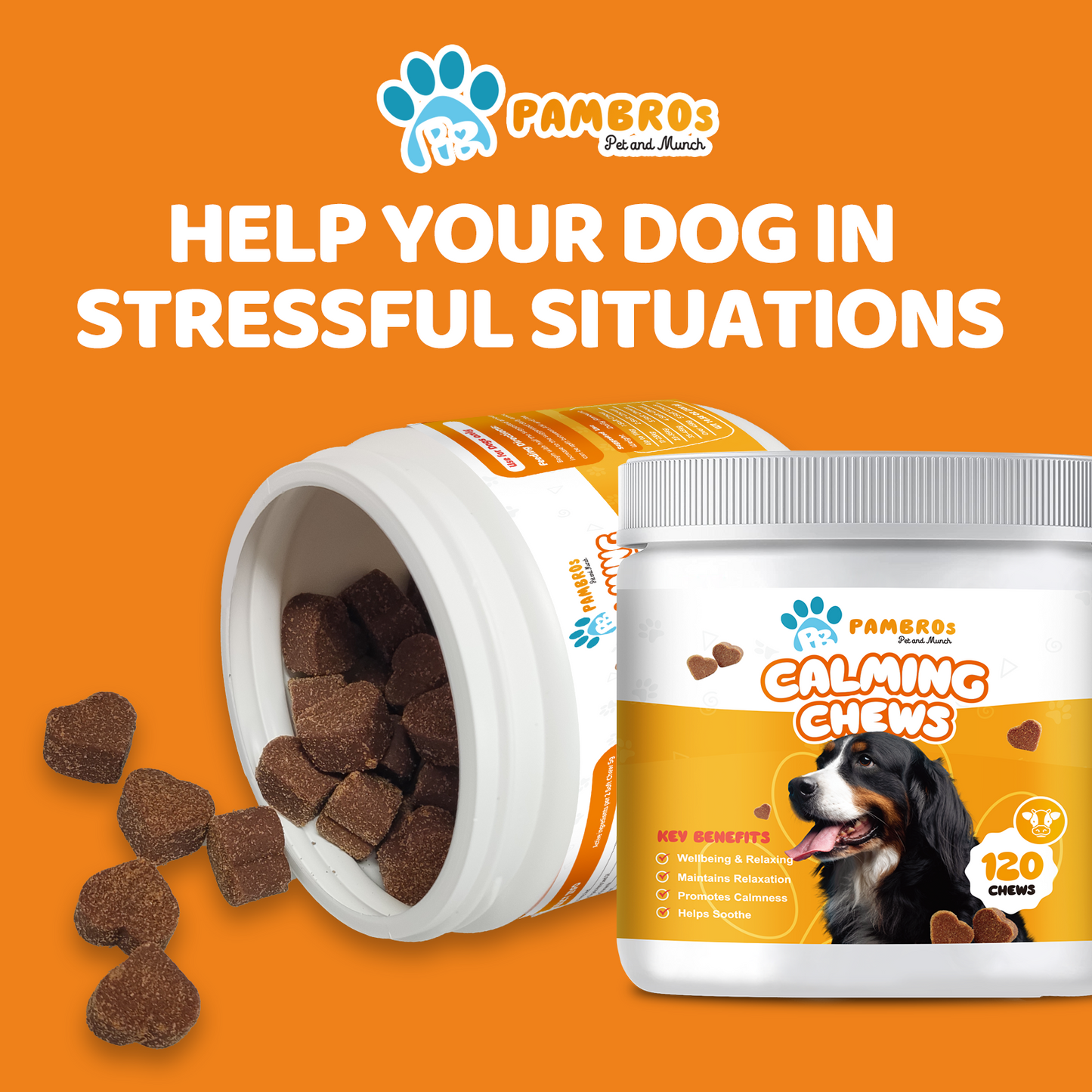 Natural Calming Chews for Dogs – Stress Relief, Anxiety & Relaxation Support