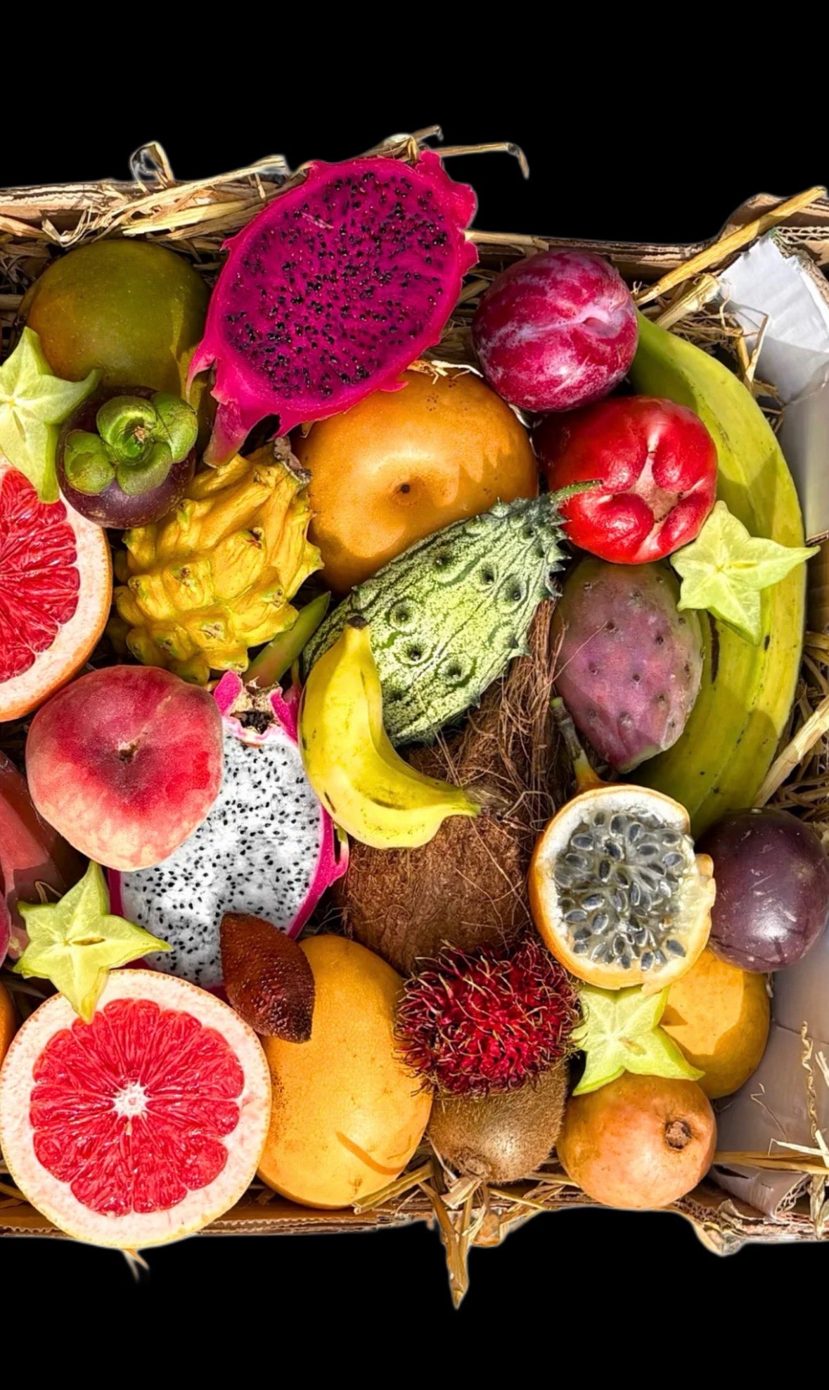 The Vitality Box - Exotic Fruit Natural Fuel for Performance Recovery