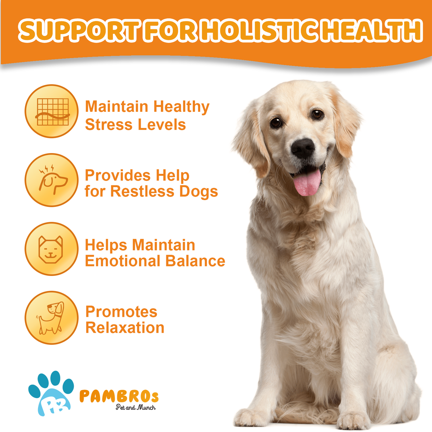 Natural Calming Chews for Dogs – Stress Relief, Anxiety & Relaxation Support