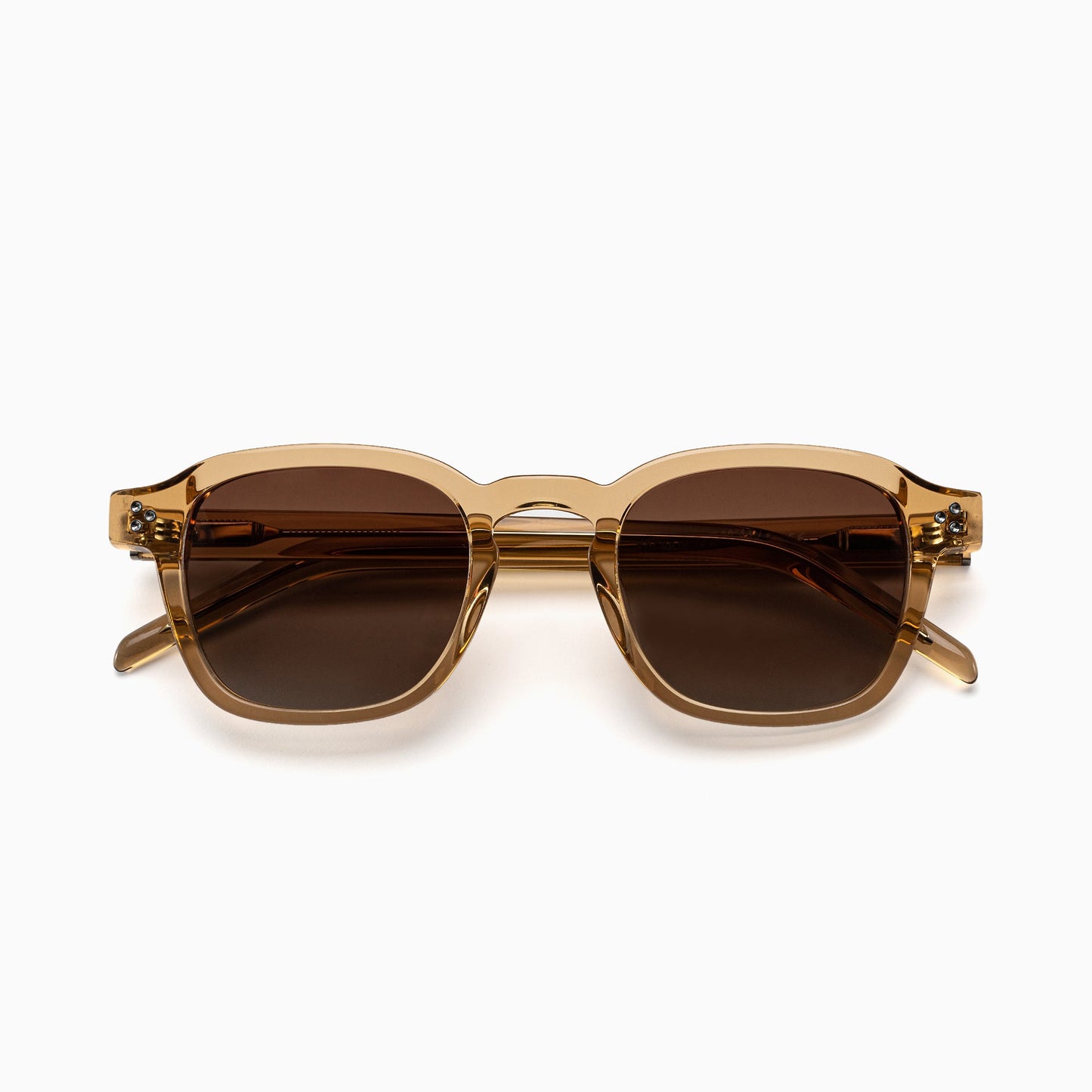 NEVA Polarised Sunglasses, Unisex, Crystal Brown, Brown Gradient by TrueVivid