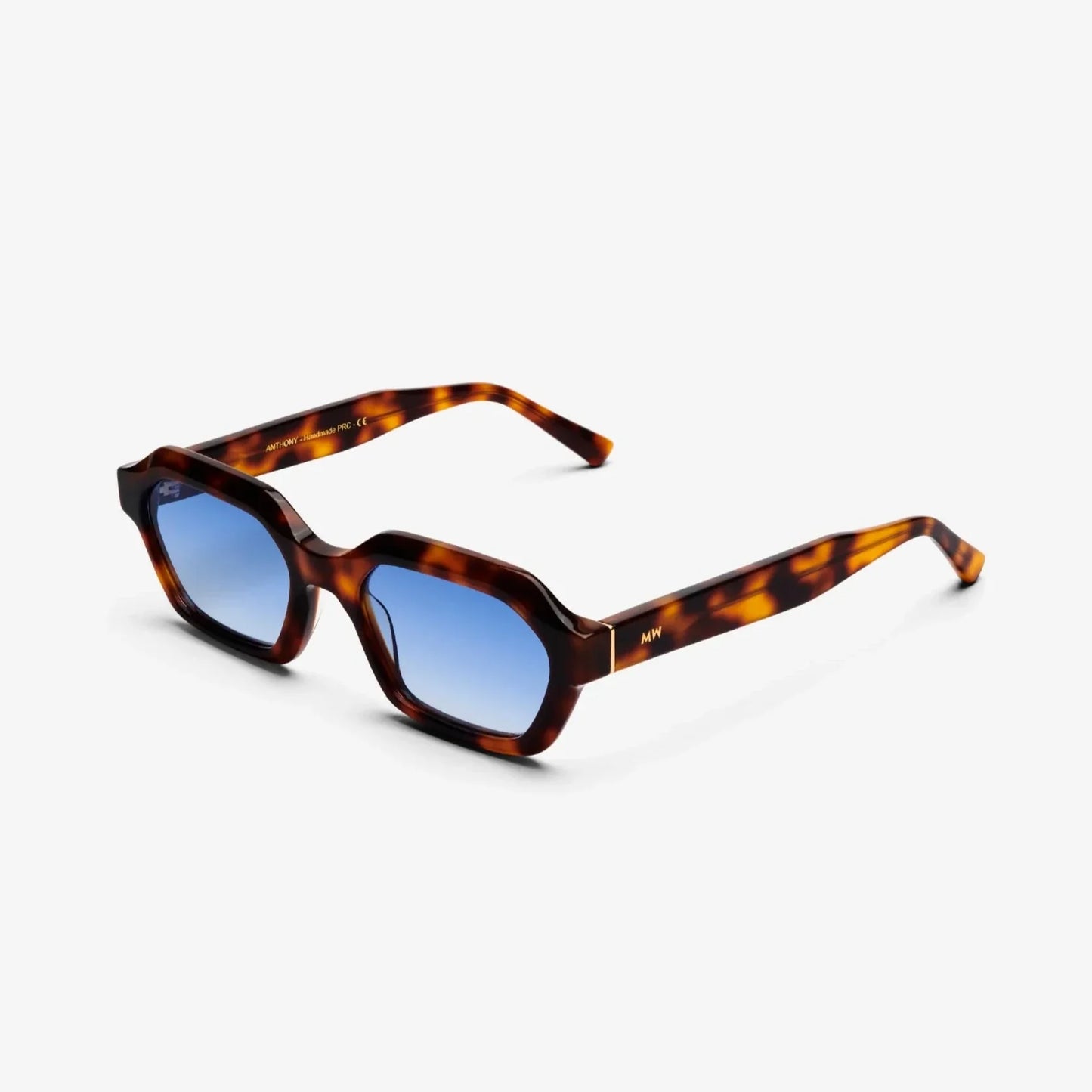 ANTHONY Tortoise Blue Sunglasses by Messy Weekend