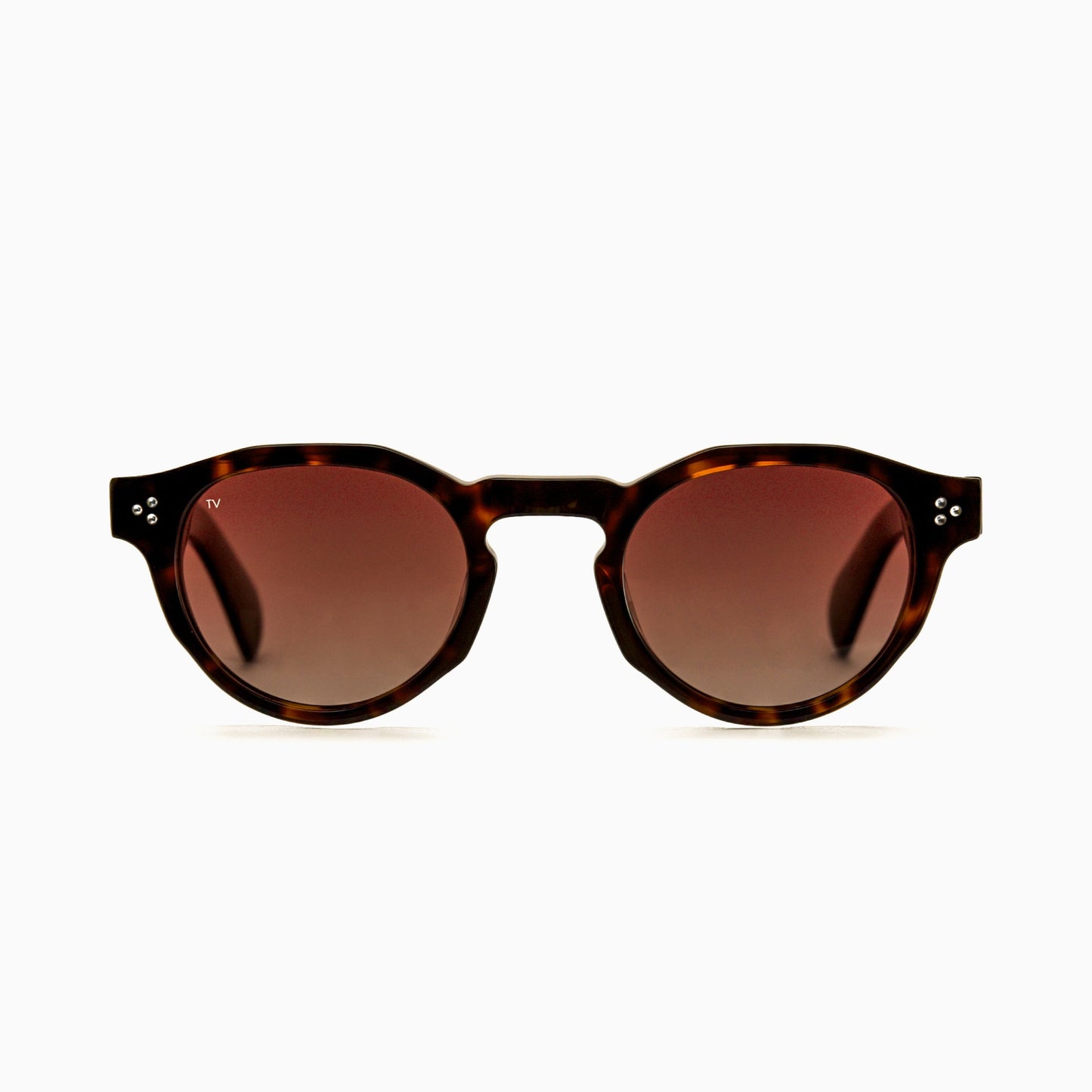 AURA Polarised Sunglasses, Unisex, Brown Tortoise by TrueVivid