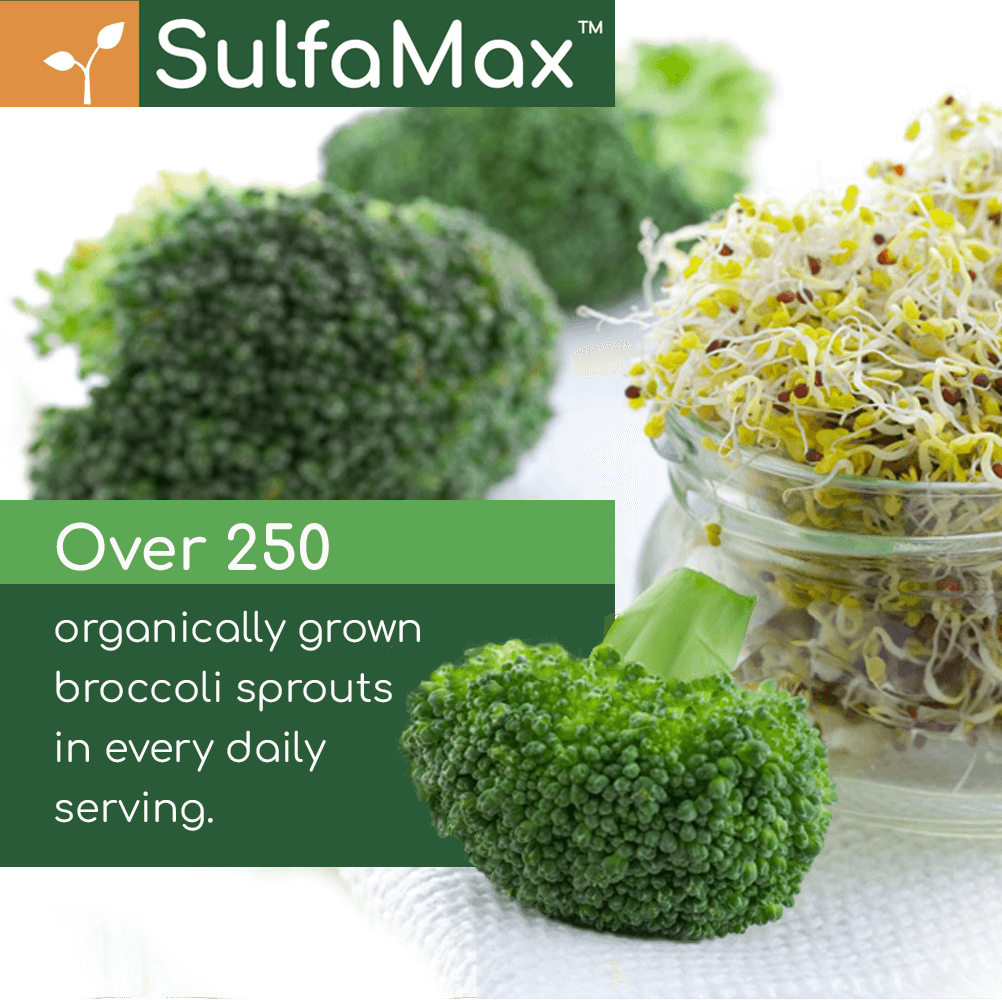 🌱 SulfaMax™ | 3 Month Supply - SAVE 20% on the best sulforaphane supplement