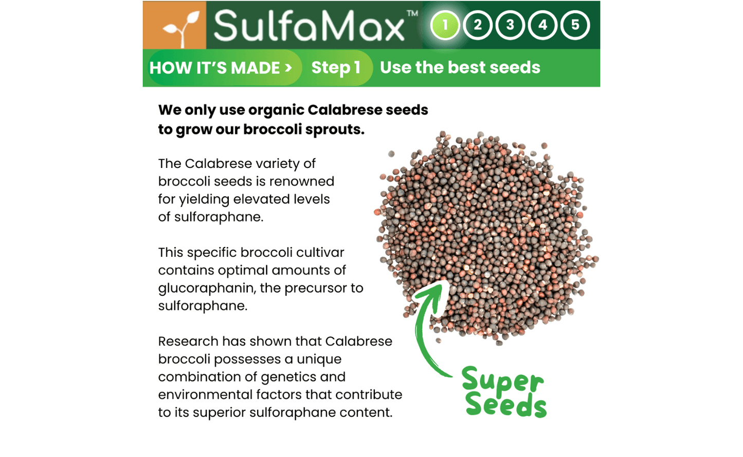 🌱 SulfaMax™ | 1 Month Supply of the best organic sulforaphane supplement