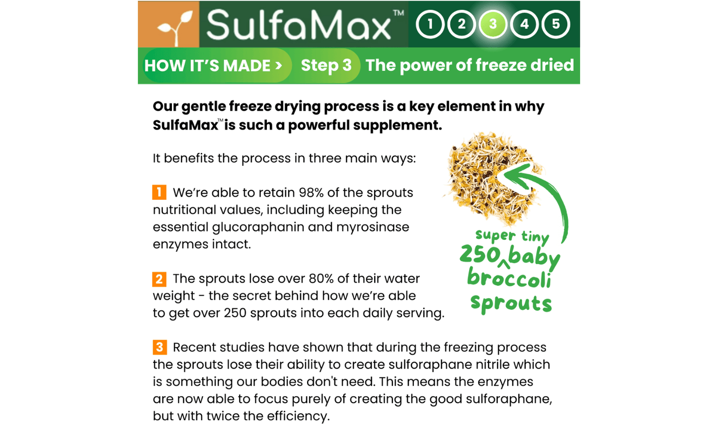 🌱 SulfaMax™ | 1 Month Supply of the best organic sulforaphane supplement