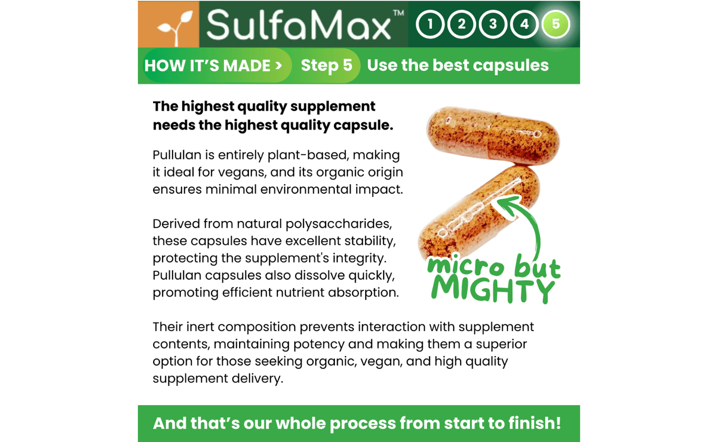 🌱 SulfaMax™ | 1 Month Supply of the best organic sulforaphane supplement