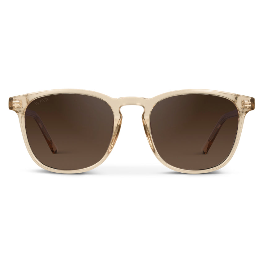 Lunettes de soleil polarisées NICK pour homme et femme, couleur marron sable cristal, par WMP Eyewear UK