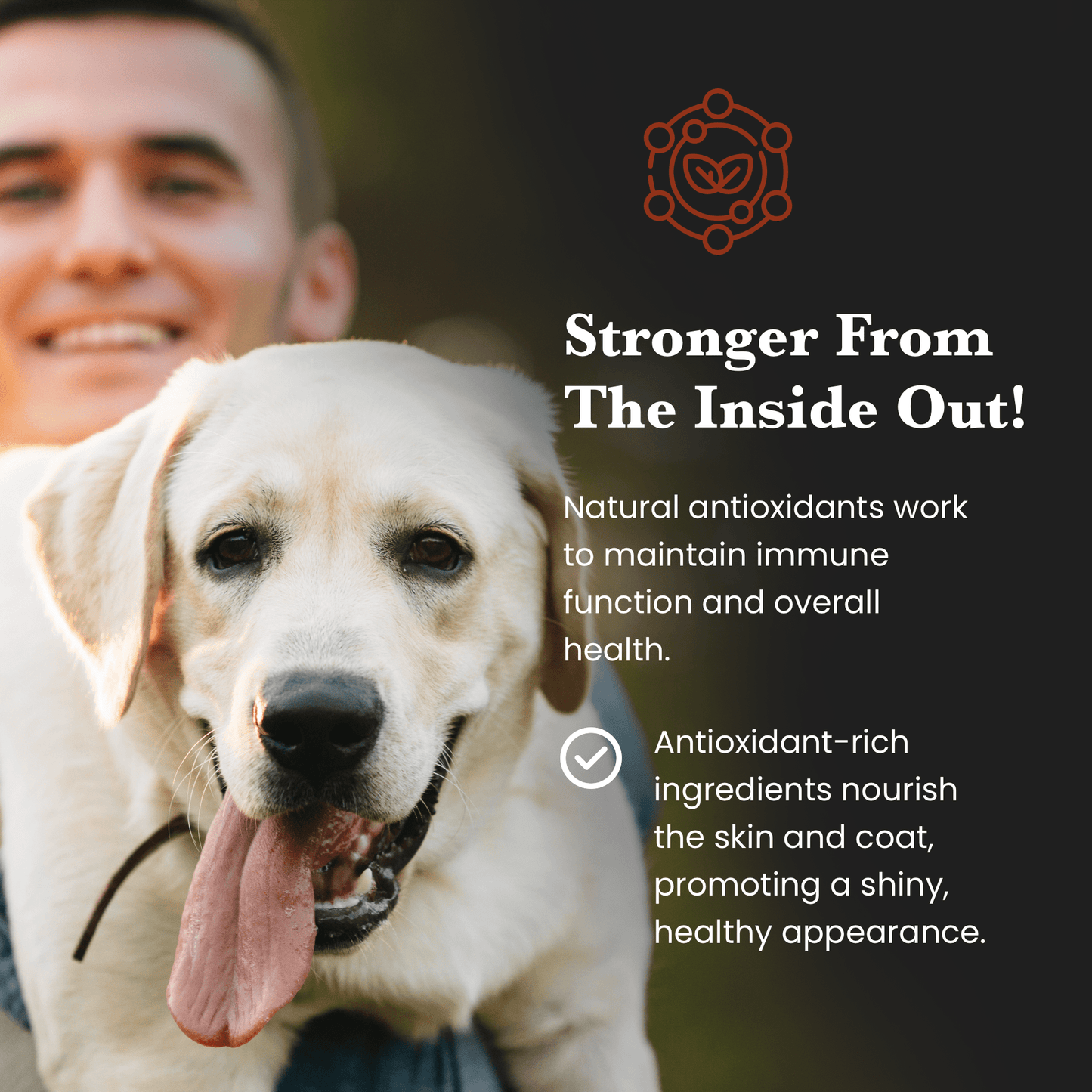 Mushroom Blend - Veterinarian formulated supplement for Dogs and Cats