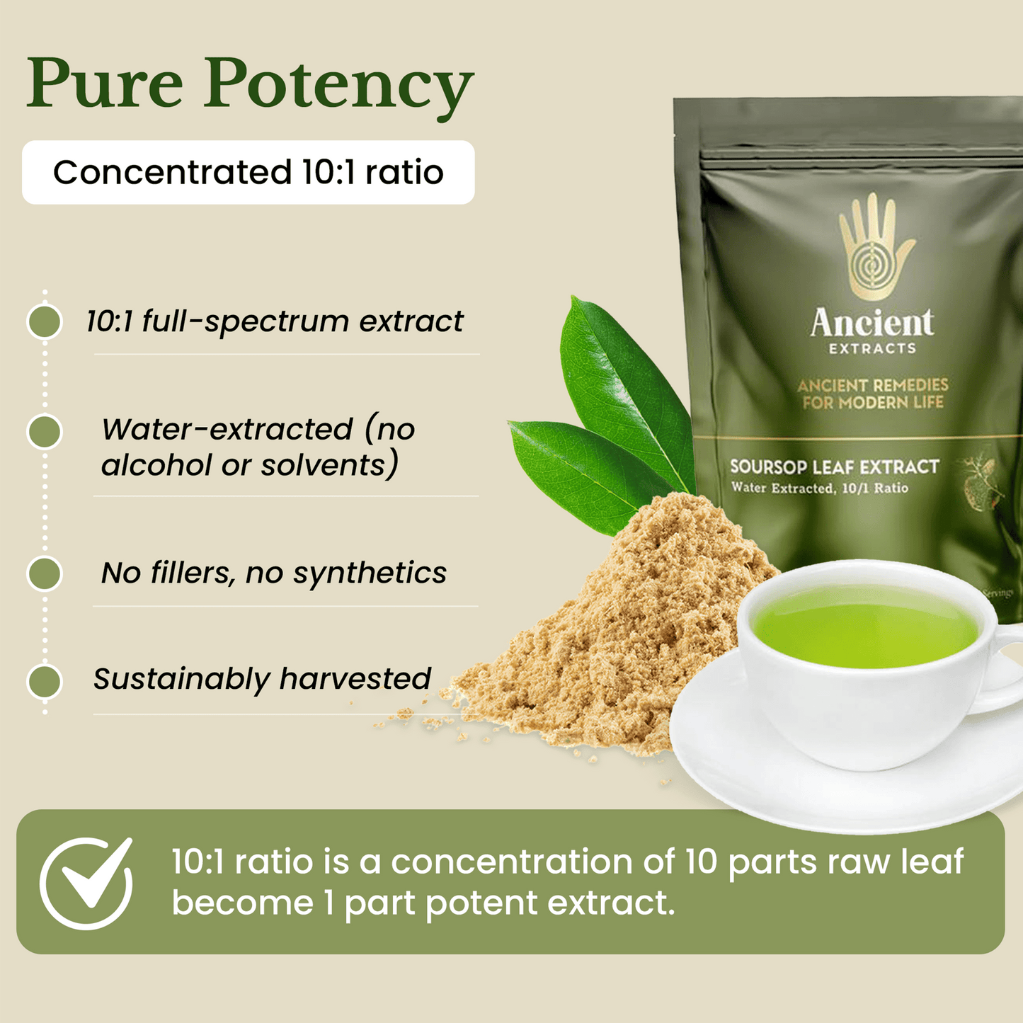Soursop Leaf Extract - South American Graviola (60g)