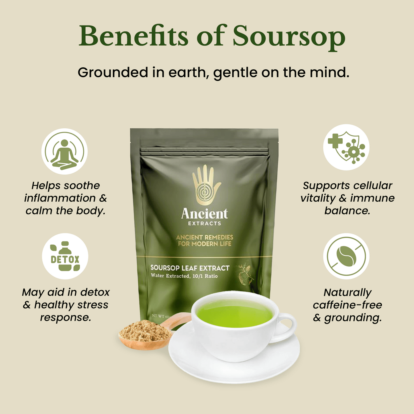 Soursop Leaf Extract - South American Graviola (60g)