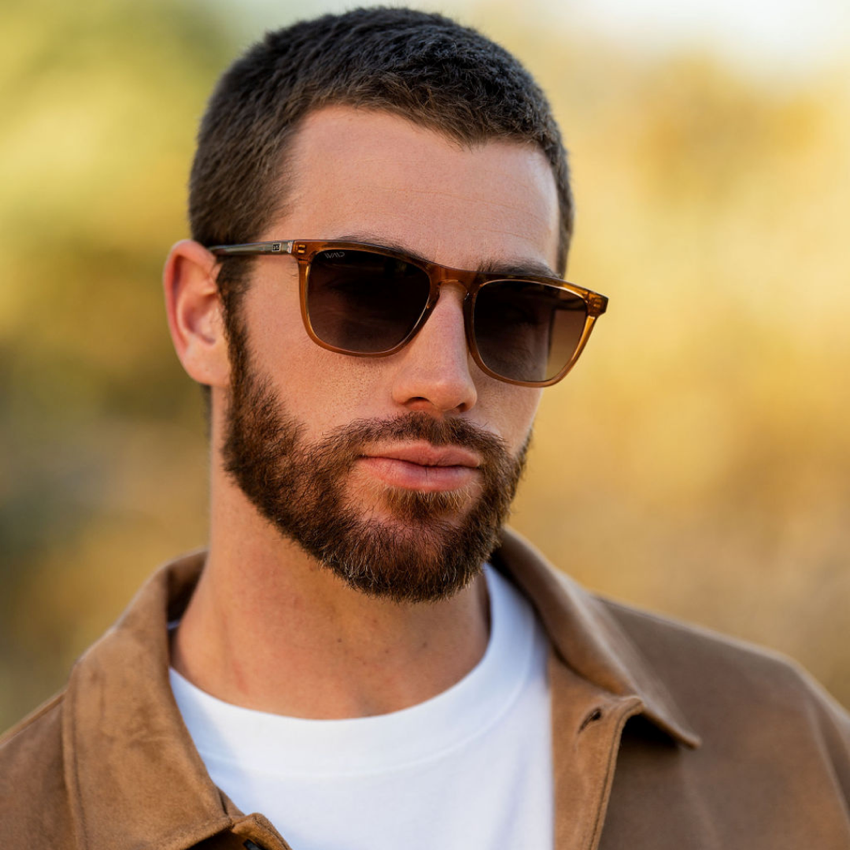 WESLEY Polarized Men's Sunglasses in Crystal Brown by WMP Eyewear UK