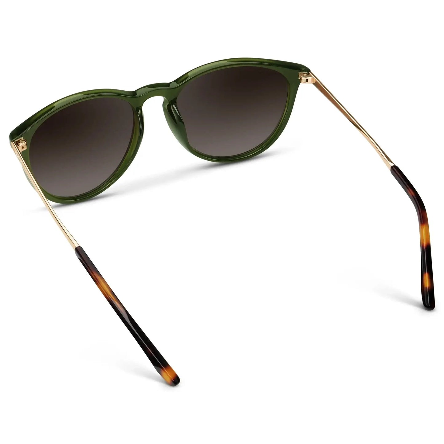 DREW Round Polarised Women's Sunglasses in Oliver Green/Gold by WMP Eyewear