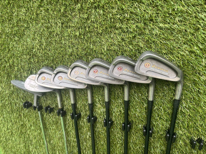 Mizuno Zephyr Irons + Callaway Big Bertha Woods + Hybrid + Wedge + Stand Bag (11 Clubs)