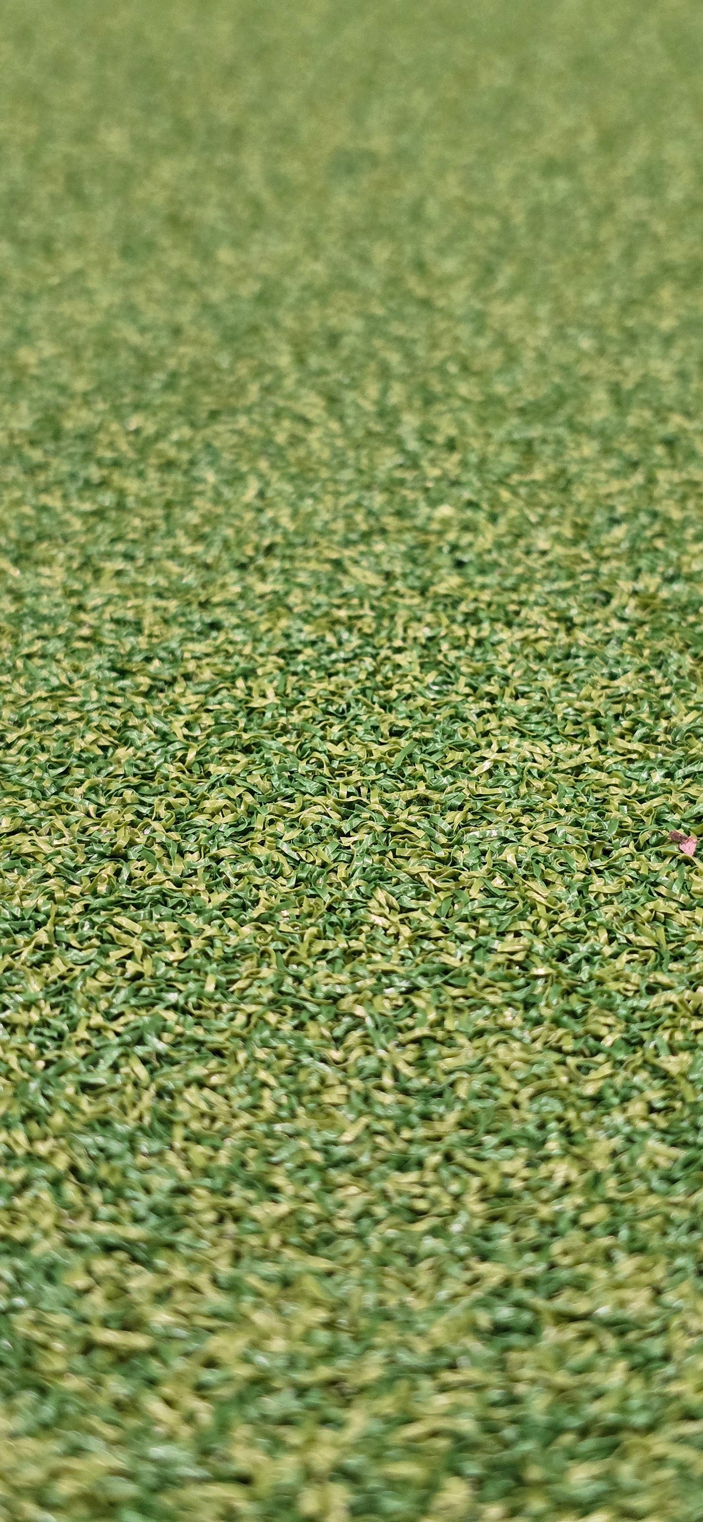 County Premium Putting Turf