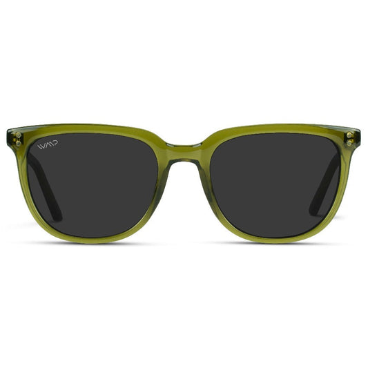 ABNER Unisex Polarized Sunglasses in Saguaro Green by WMP Eyewear