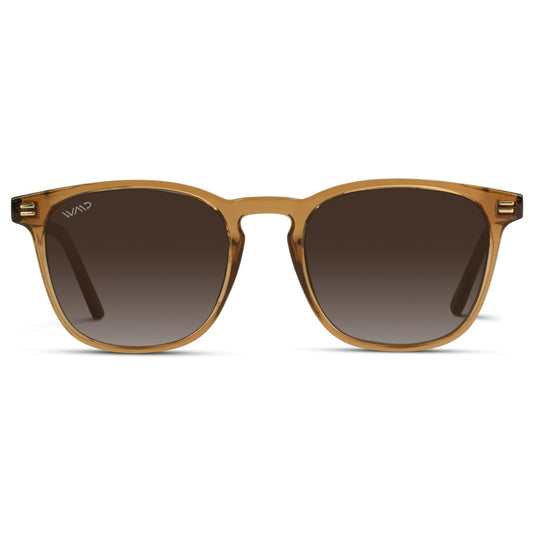 NICK Crystal Brown / Brown Gradient Lens by WMP Eyewear