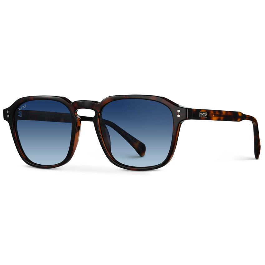 FRANCIS Men's Square Modern Retro Sunglasses in Brown Tortoise by WMP Eyewear