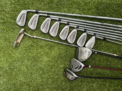 RAM AccuBar Golf Set with Stand Bag (12 Clubs) Free Delivery