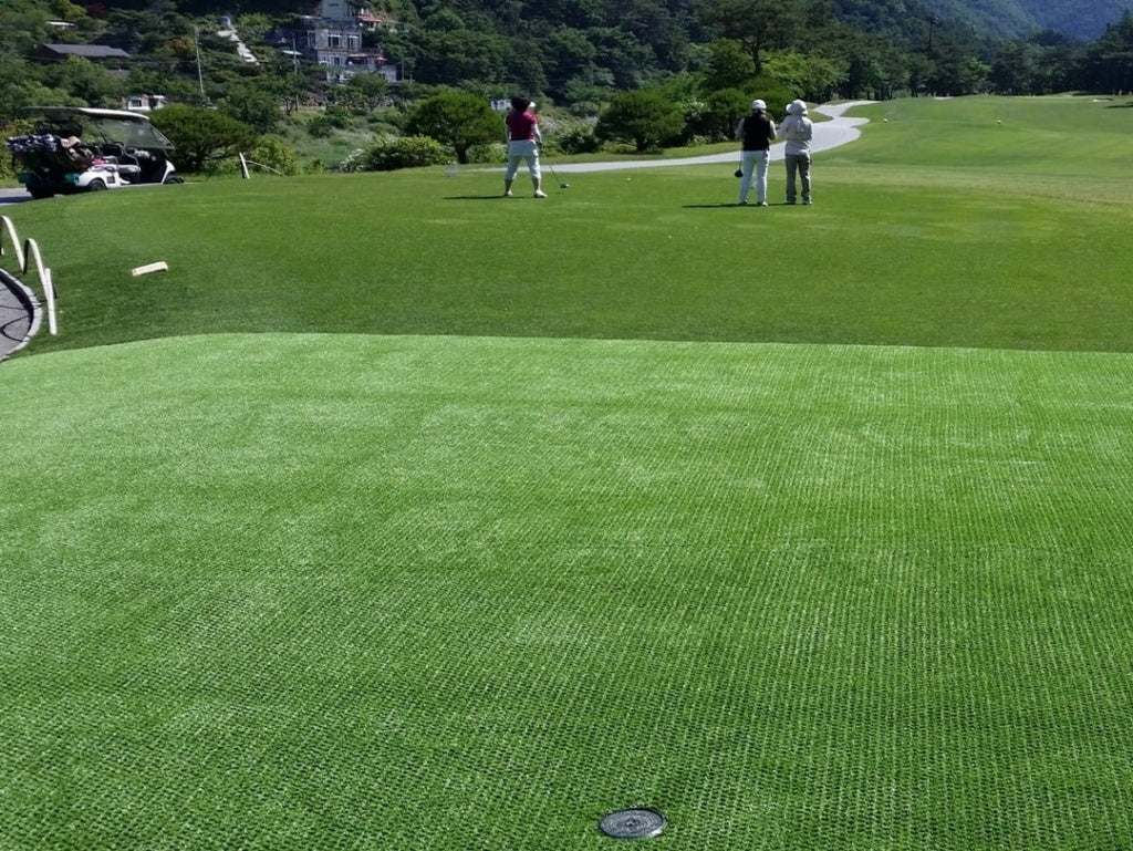 County Hybrid 22 Grass