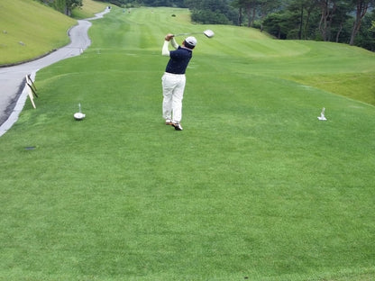 County Hybrid 32 Grass