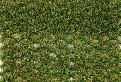 County Hybrid 32 Grass