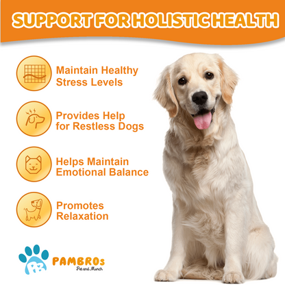Natural Calming Chews for Dogs – Stress Relief, Anxiety & Relaxation Support