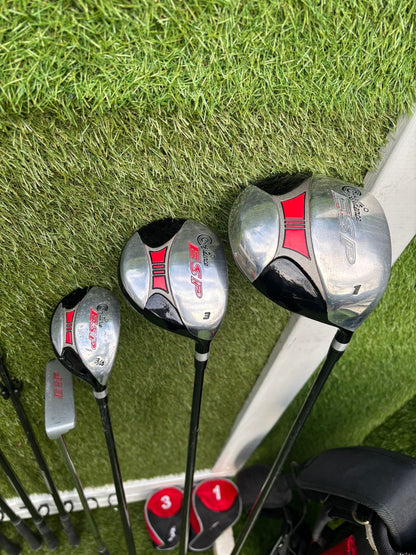 Confidence ESP Golf Set with Stand Bag – 10 Clubs £164.00 Total With Free P&P