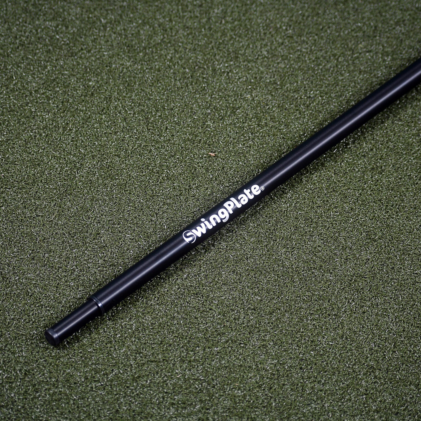 The Swing Plate with Extension Pole