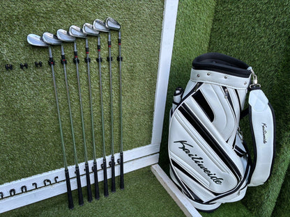 Ben Hogan Apex FTX Combo Irons (4–E) + Brand New Kailiweide Cart Bag – £254 with free delivery