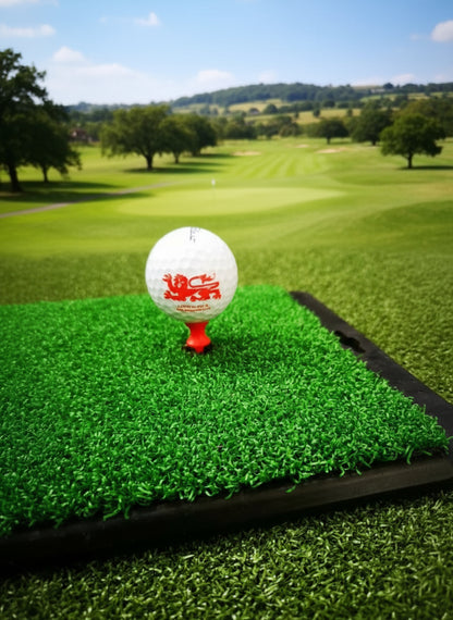 Golf Tee Holder - Rubber Can Be Used For The Winter/Fairway Mat’s