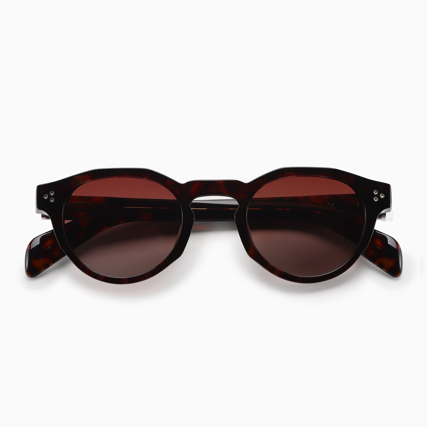 AURA Polarised Sunglasses, Unisex, Brown Tortoise by TrueVivid