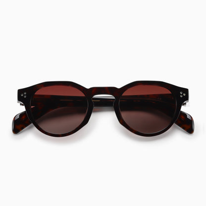 AURA Polarised Sunglasses, Unisex, Brown Tortoise by TrueVivid