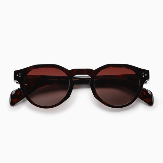 AURA Polarised Sunglasses, Unisex, Brown Tortoise by TrueVivid