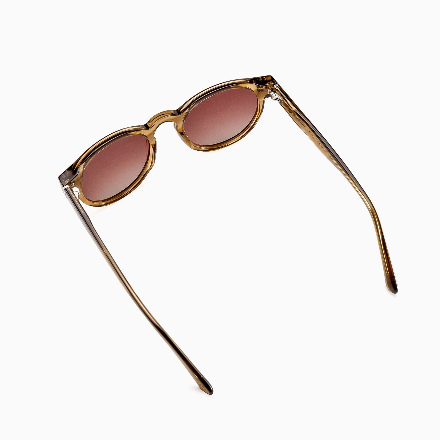 ALBA Polarised Sunglasses, Unisex, Crystal Brown, Brown Gradient by TrueVivid