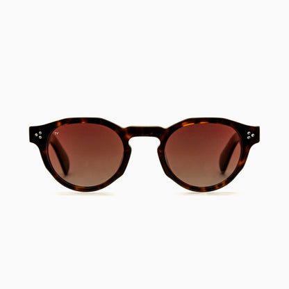 AURA Polarised Sunglasses, Unisex, Brown Tortoise by TrueVivid