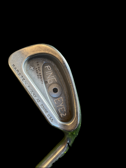 PING EYES 2 BLACK DOT 1 IRON Rare