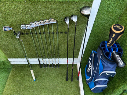Wilson Deep Red Irons, Cobra Driver, TaylorMade Wood, TaylorMade Hybrid, Ping Putter Callaway Cart Bag