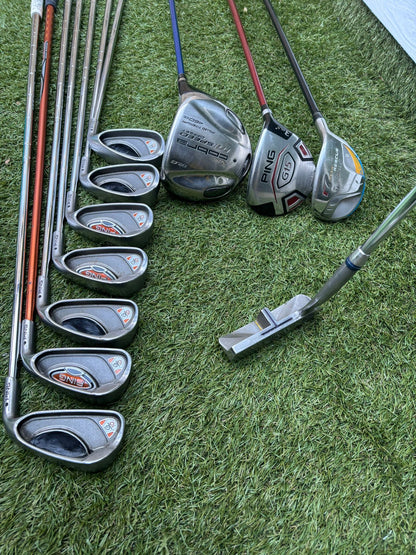 🔥 Ping G10 Irons (5–SW) + Cobra Driver + Ping G15 3 Wood + TaylorMade Hybrid + PowaKaddy Dri Waterproof Bag