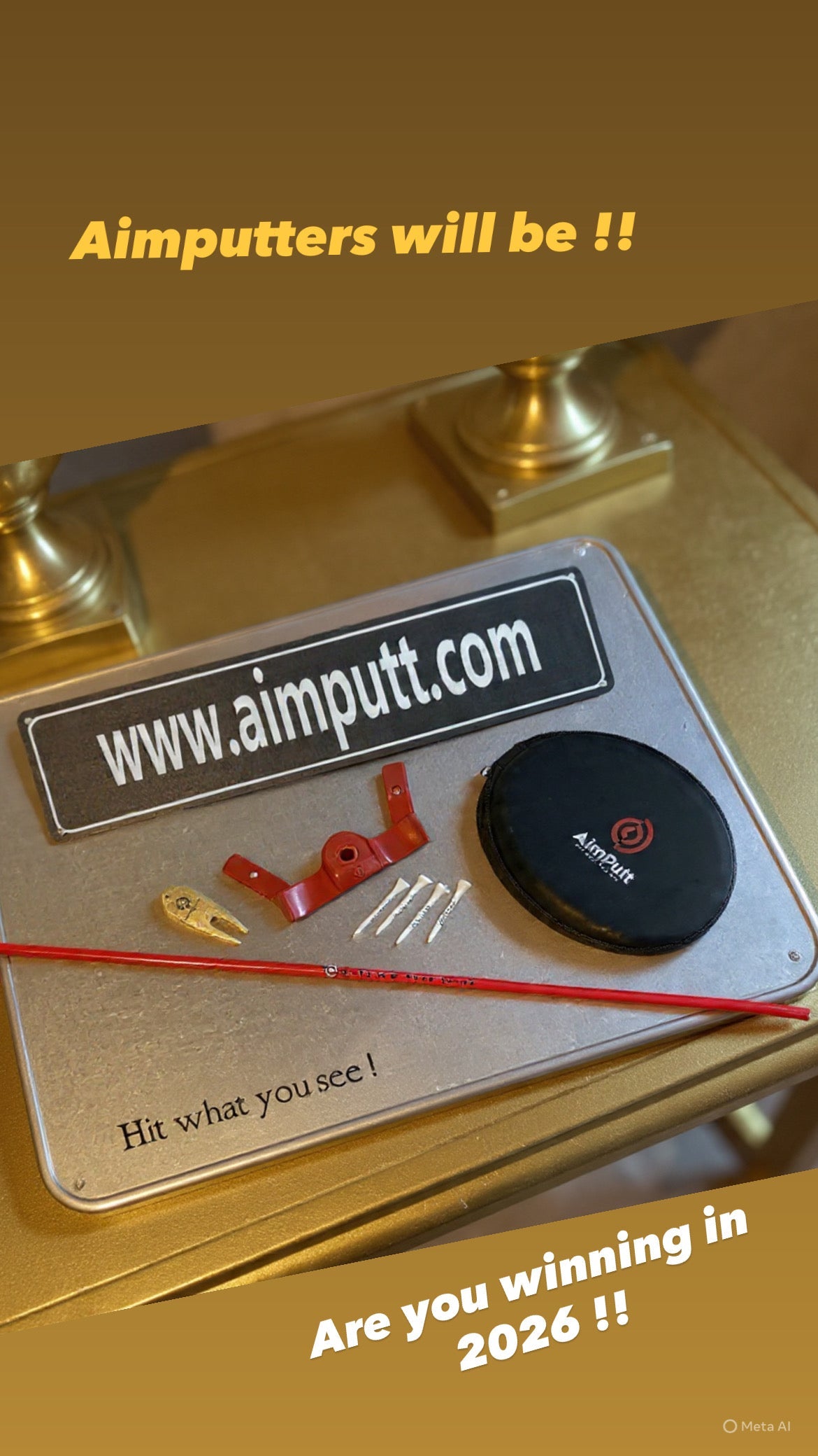 Xmas Bundle Aimputt Trainer and The Golf Worm package.