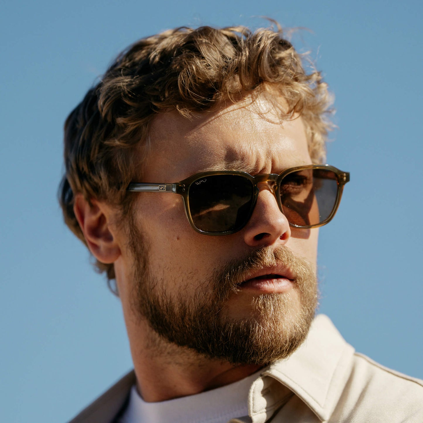 FRANCIS Men's Square Modern Retro Sunglasses in Crystal Verde by WMP Eyewear