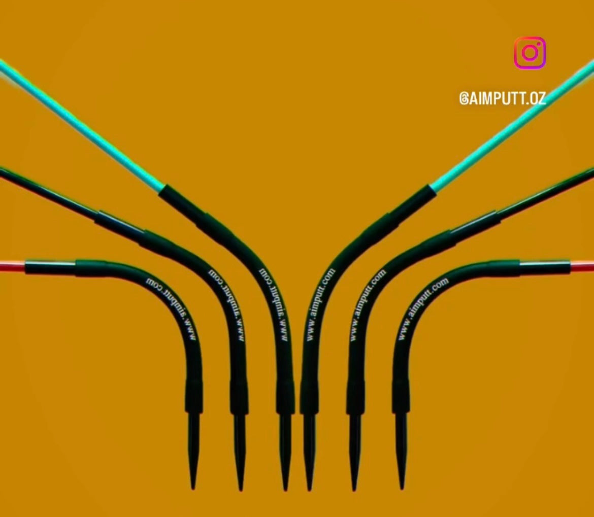 Aimputt Trainer and The Golf Worm package