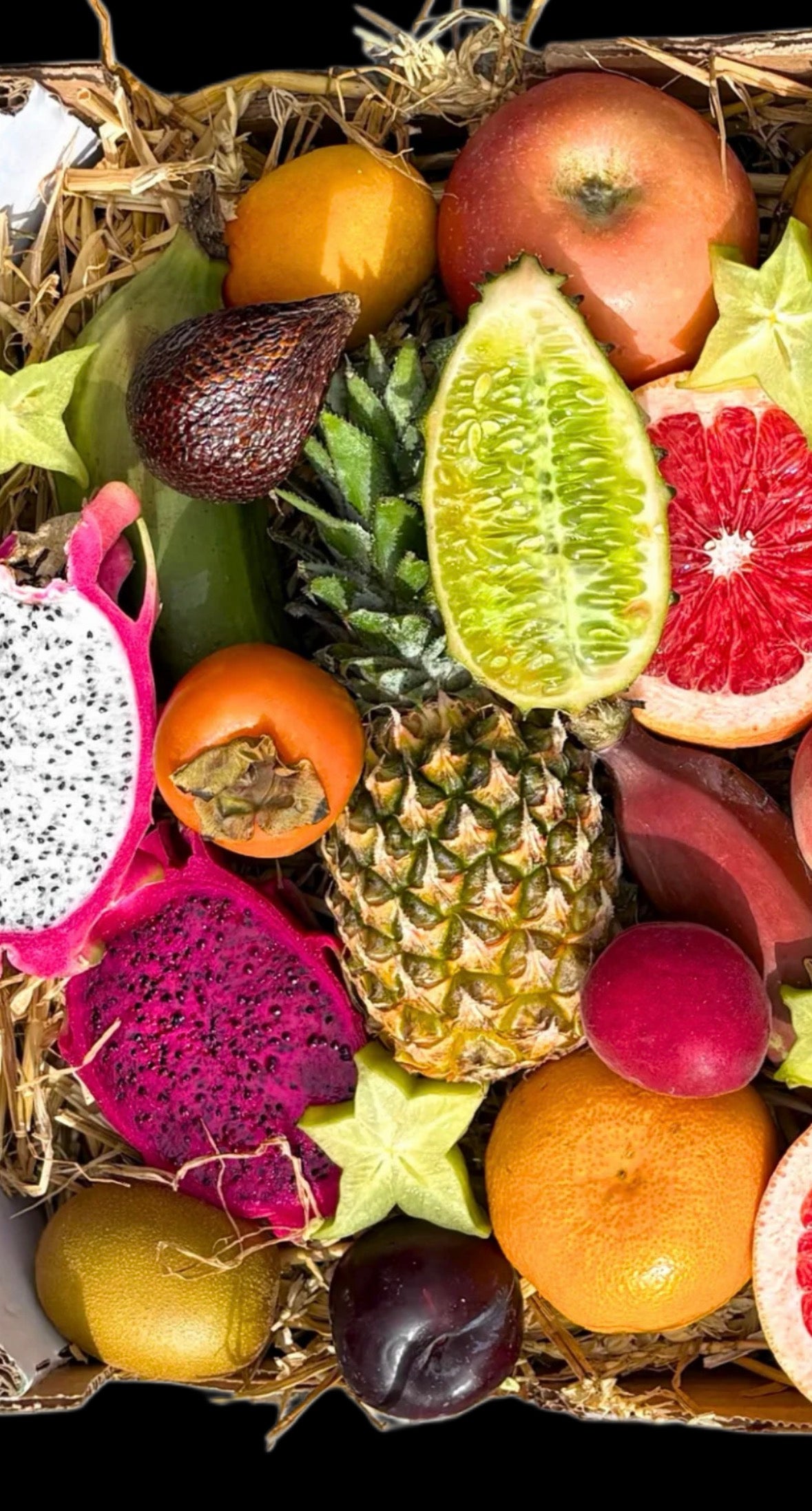 The Vitality Box - Exotic Fruit Natural Fuel for Performance Recovery