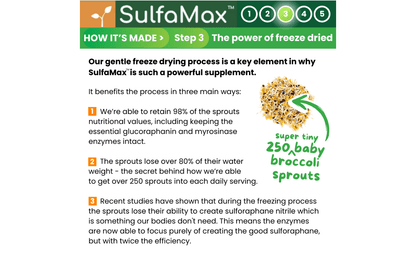🌱 SulfaMax™  |  1 Month Supply of the best organic sulforaphane supplement