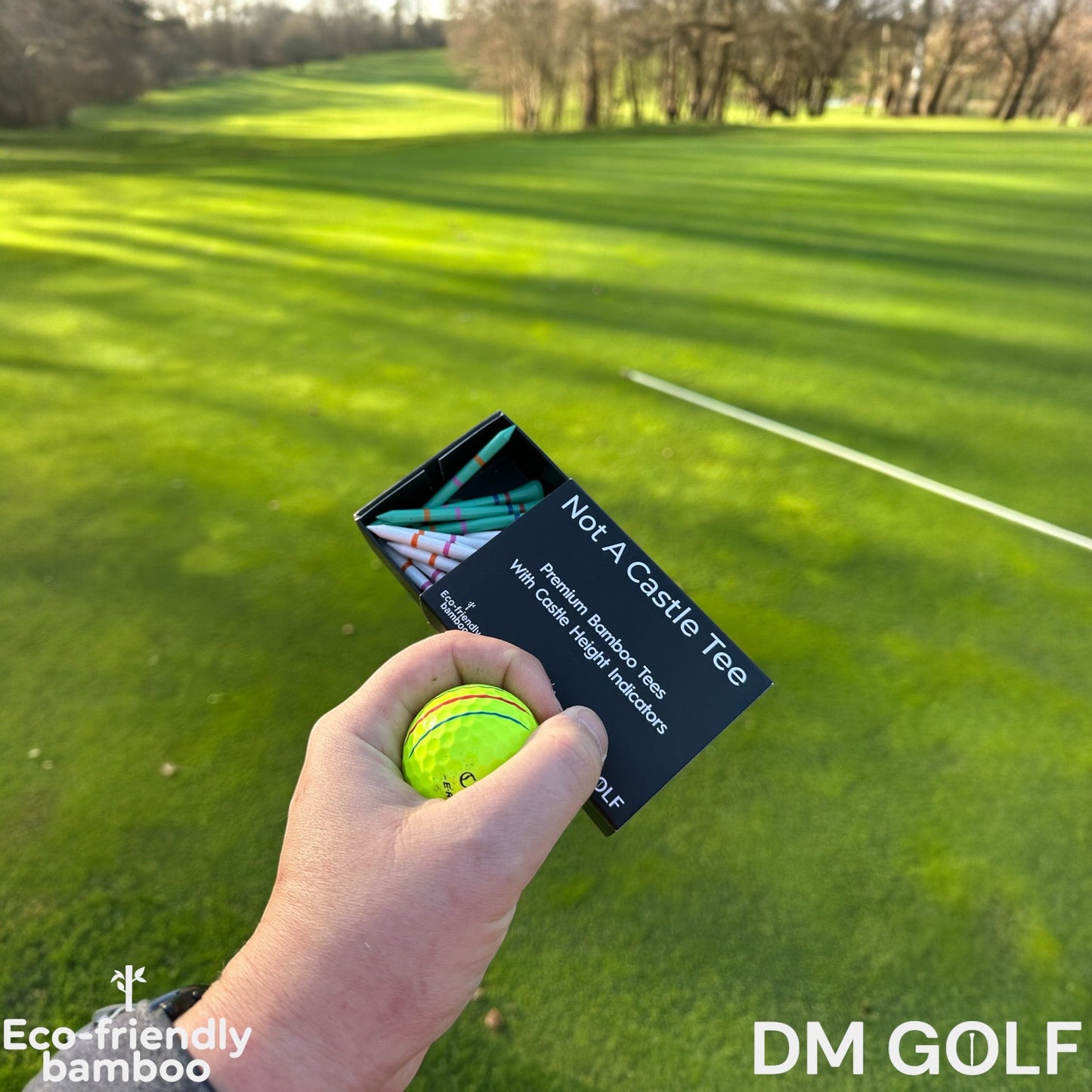 Not A Castle Tee Mixed Box – 30 Bamboo Tees  DM Golf