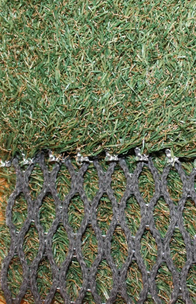 County Hybrid 22 Grass