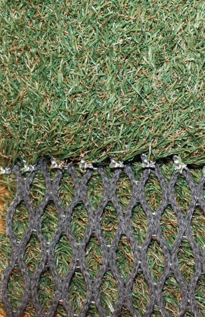 County Hybrid 22 Grass